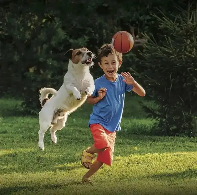 Pet Park